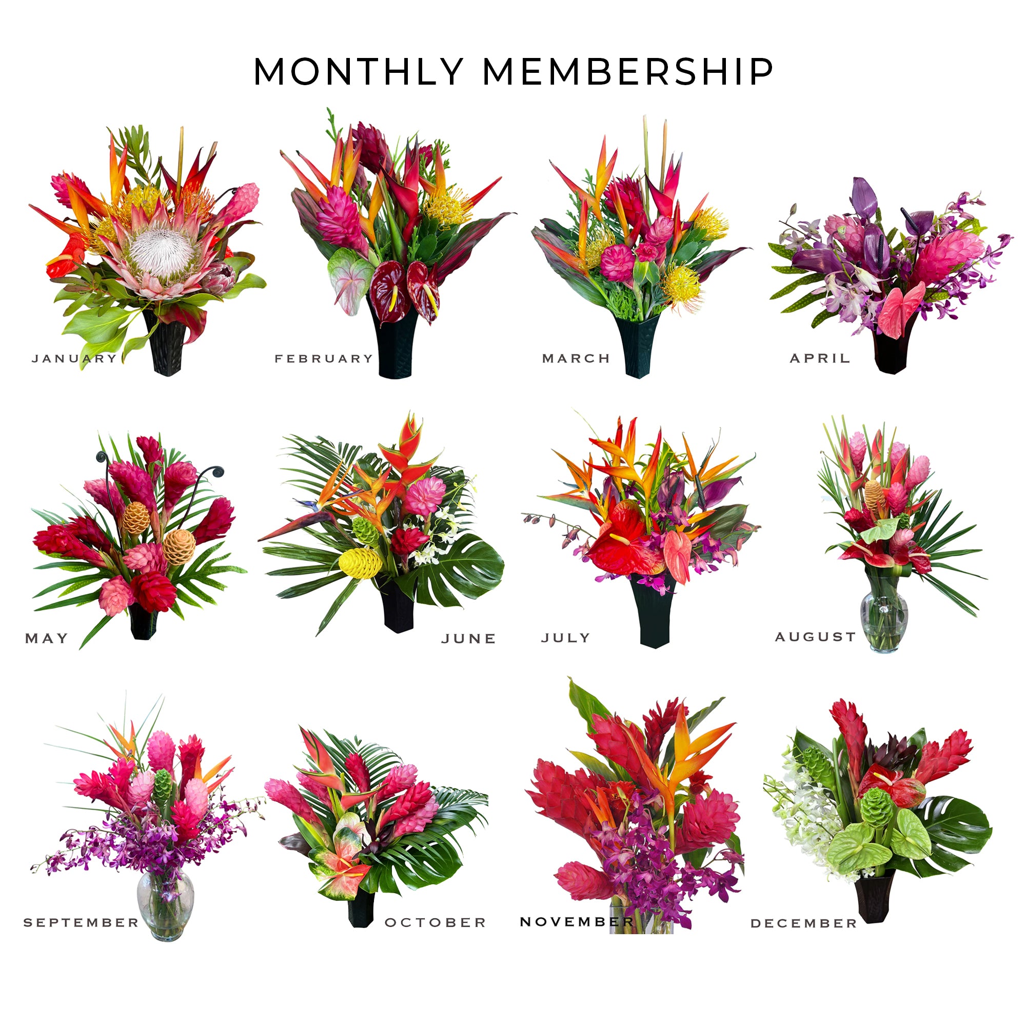 Monthly Flower Membership 12 Stems plus foliage - BIG Savings!