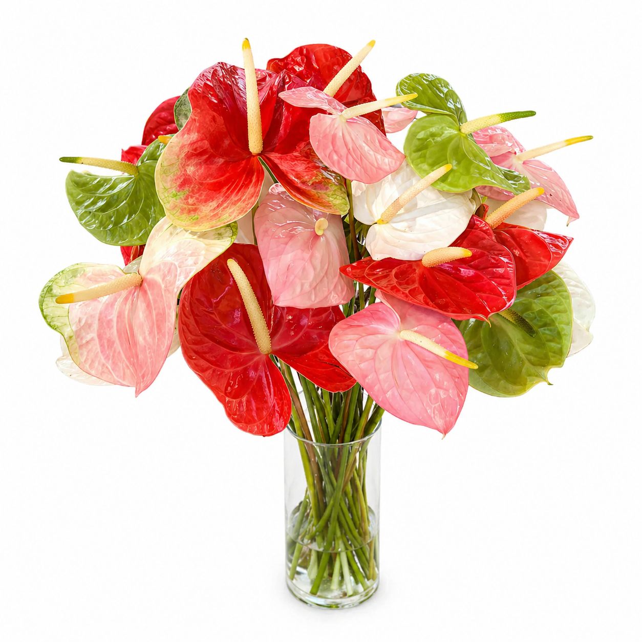 anthurium in vase Mixed Anthurium Bouquet