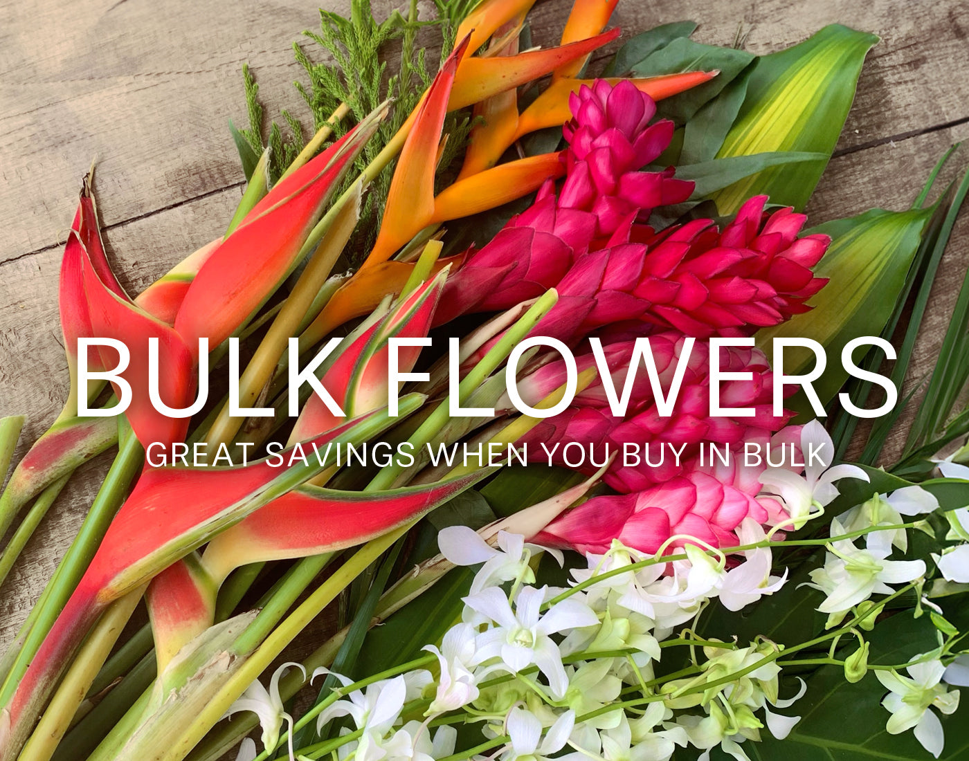 Hawaiian flowers bulk, tropical flowers from hawaii bulk, hawaiian flowers delivered