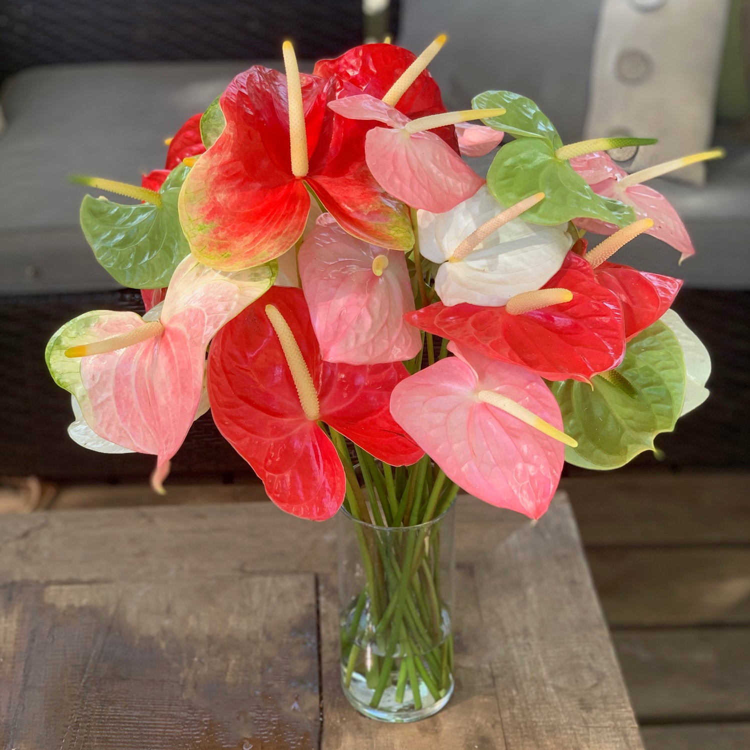 Mixed Anthurium Bouquet