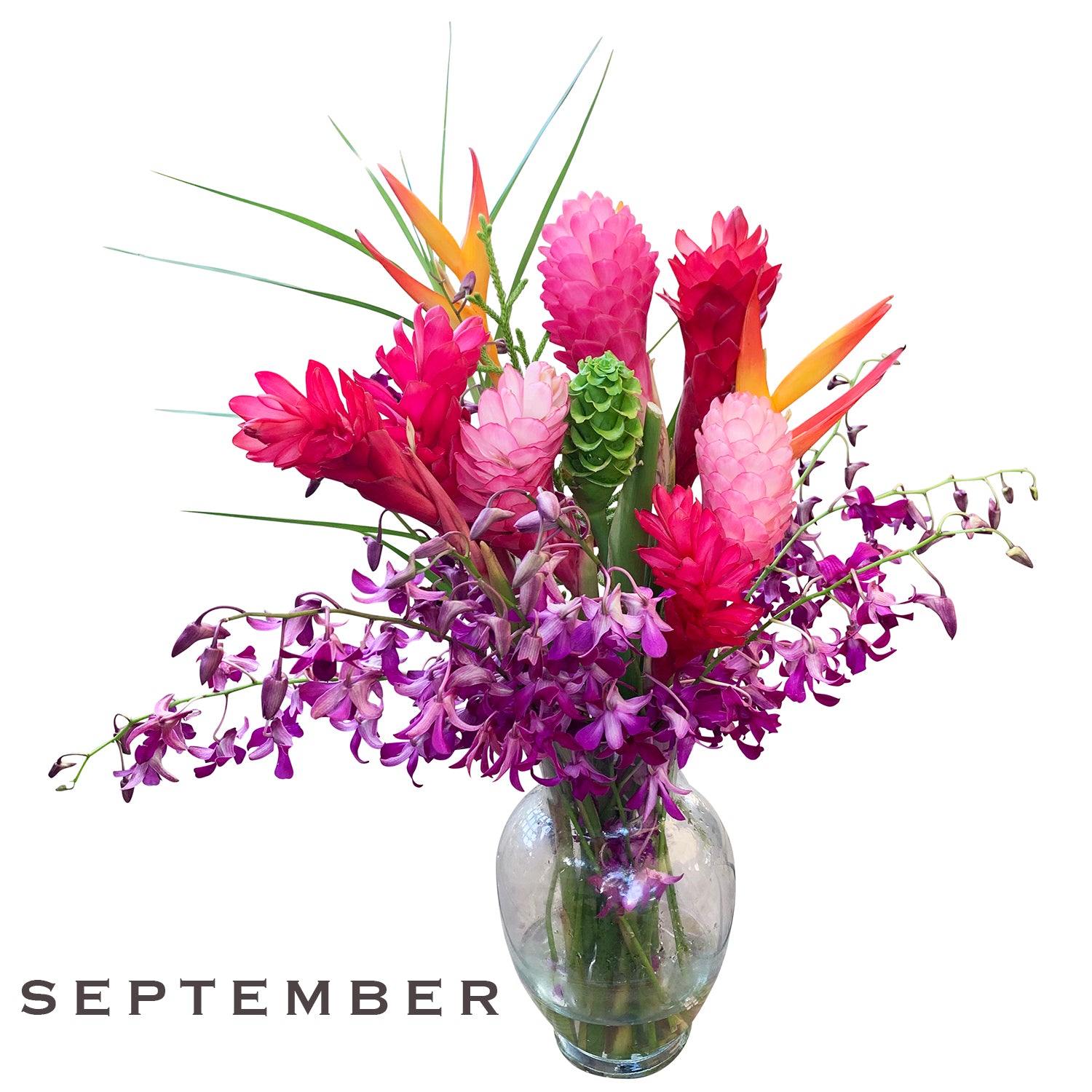Monthly Flower Membership 12 Stems plus foliage - BIG Savings!