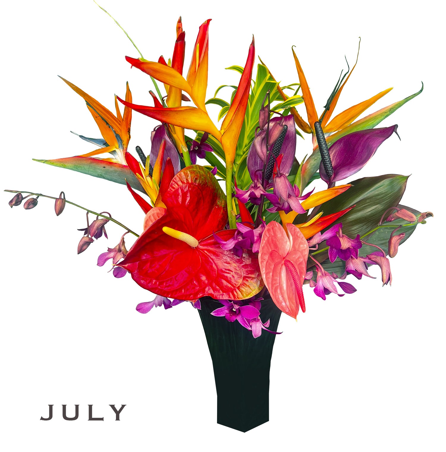 Monthly Flower Membership 12 Stems plus foliage - BIG Savings!