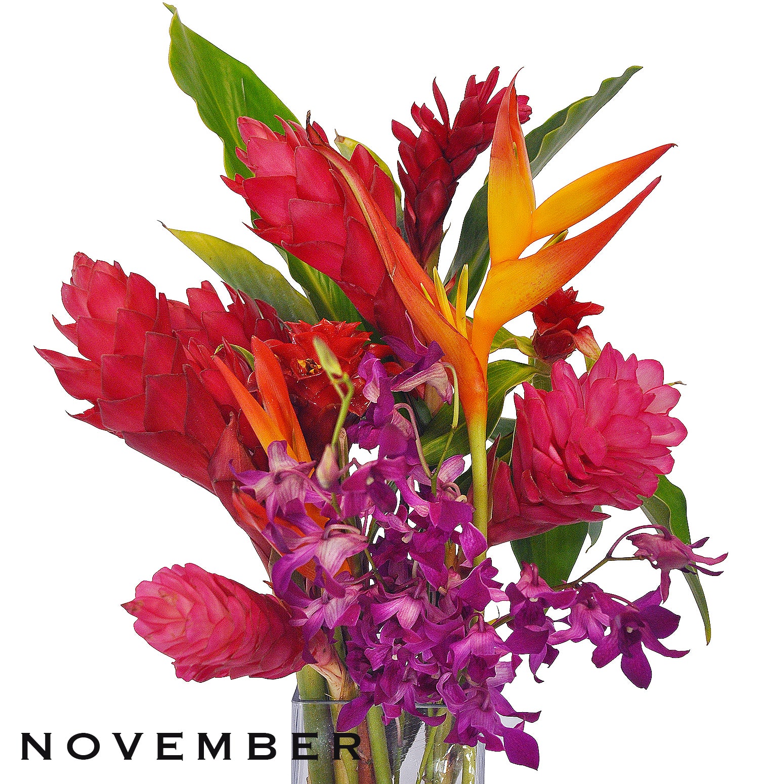 Monthly Flower Membership 12 Stems plus foliage - BIG Savings!