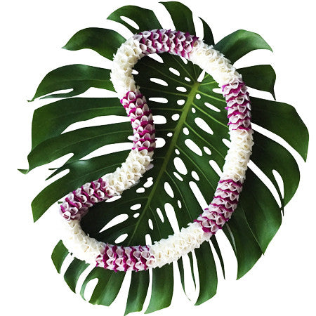 ORCHID LEI