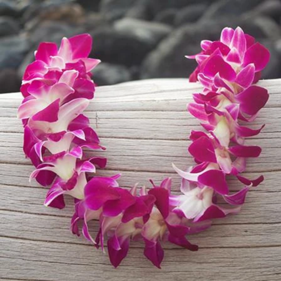 Single Purple Orchid Lei