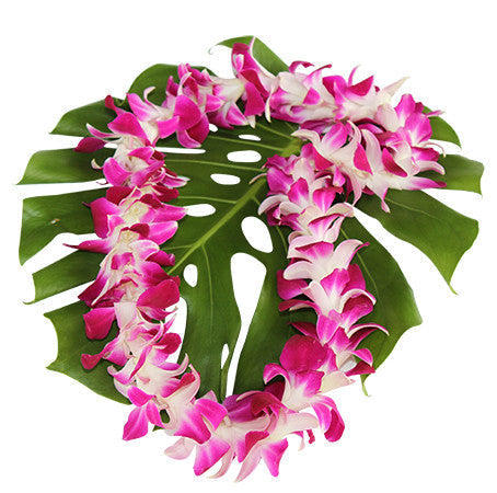 Leis frmo Hawaii, Hawaiian leis, fresh orchid leis