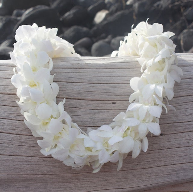 Fresh Orchid Leis