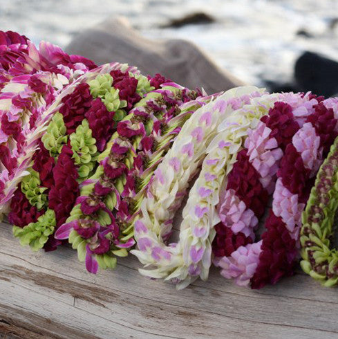 Fresh orchid leis BULK