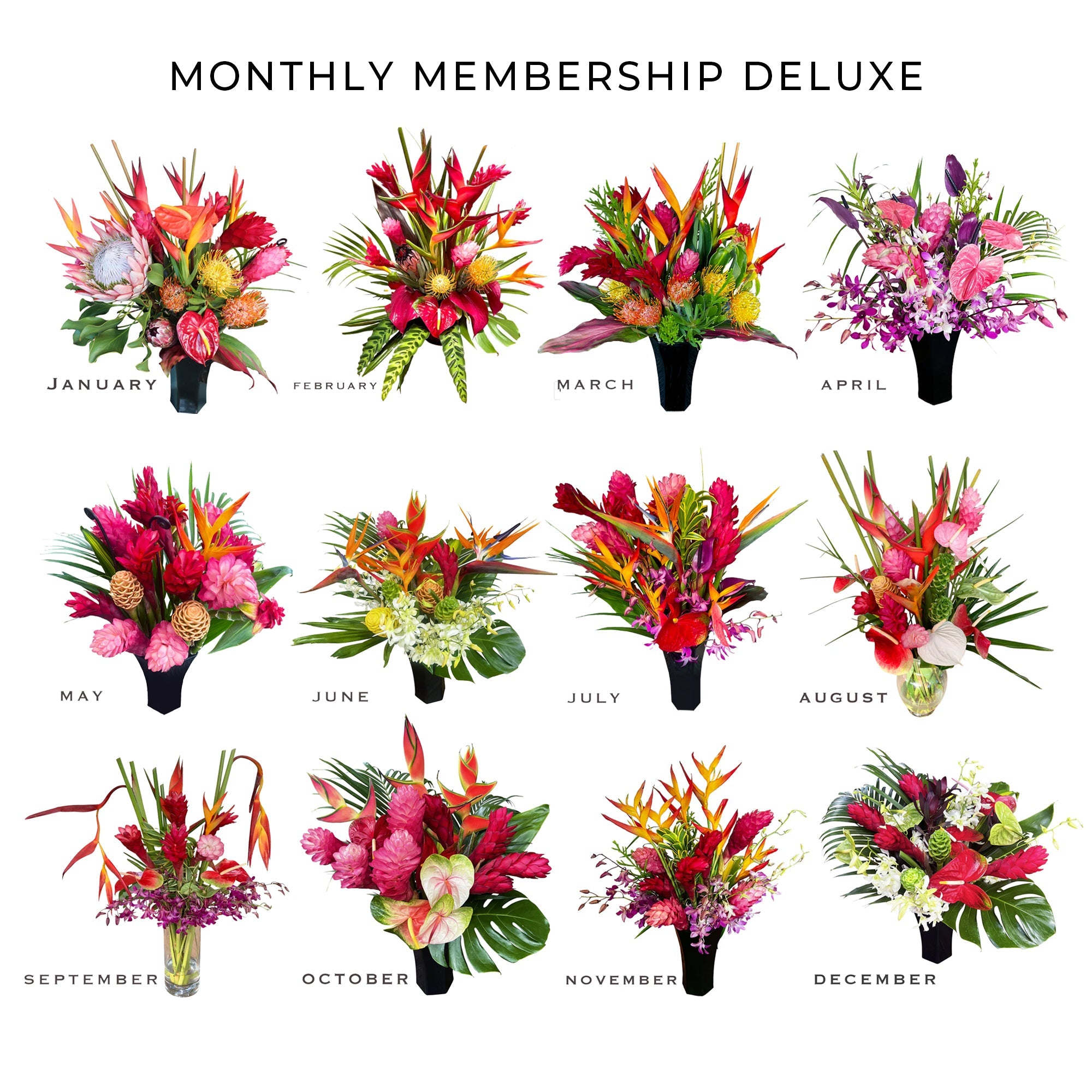 Monthly Flowers / Memberships