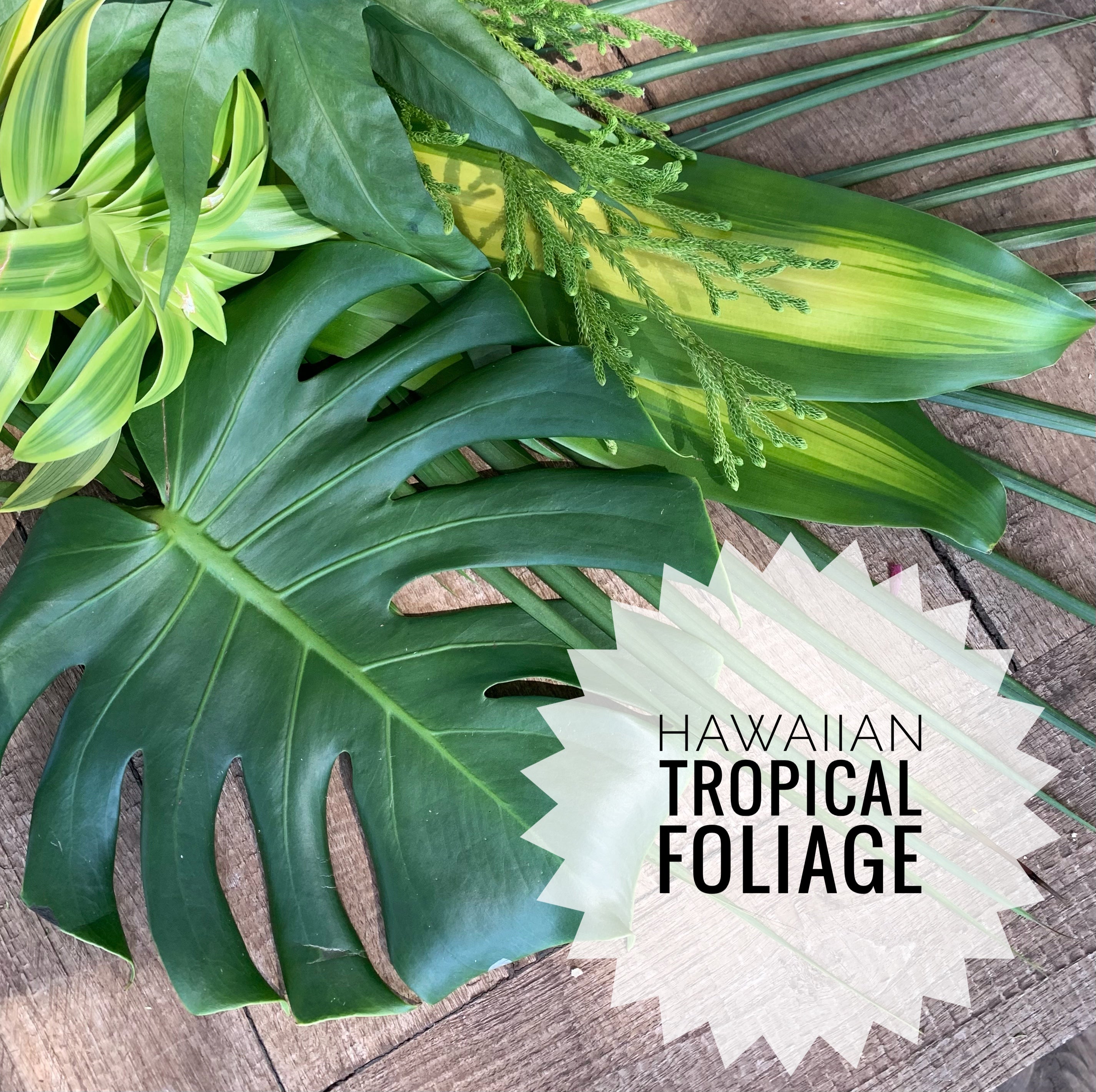 Tropical Foliage