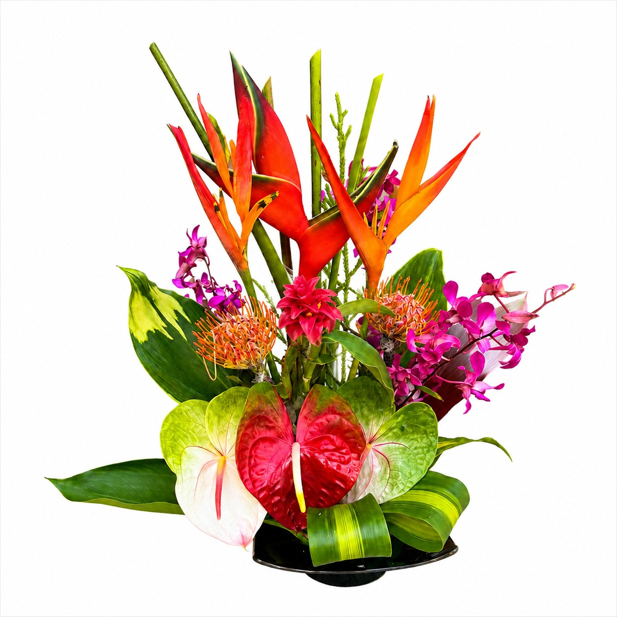 Tropical Assortments