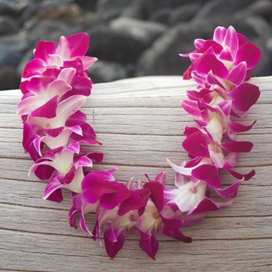 fresh orchid lei, hawaiian lei, graduation lei, fresh leis, leis from hawaii, hawaiian leis