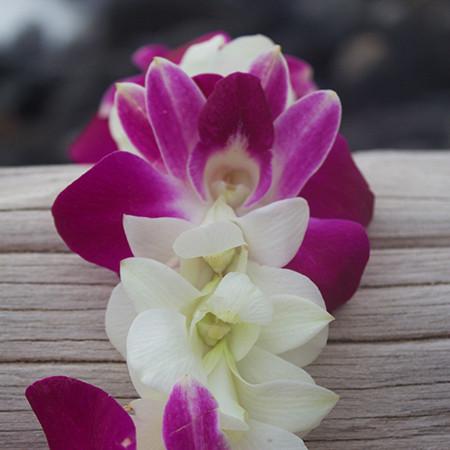 Purple/White Orchid Lei ( 10 Leis)