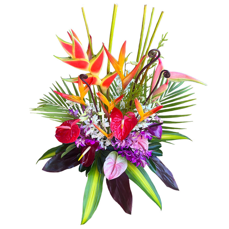 California Dreaming  - IDEAL FOR CA DELIVERIES (18 tropical Stems plus Lush Foliage)