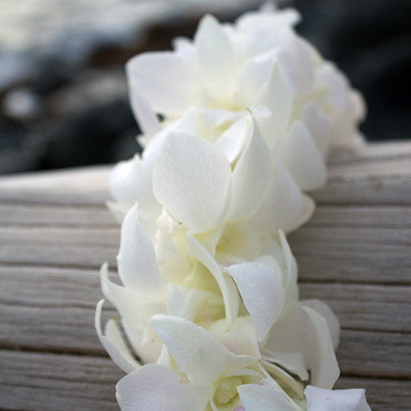 Double White Orchid Lei