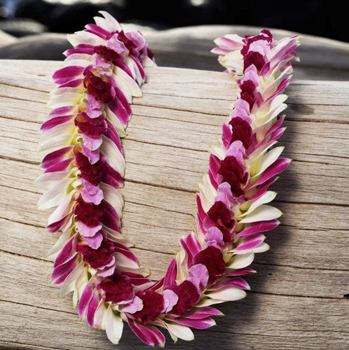 persian indiana lei