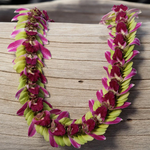 jackie indiana lei