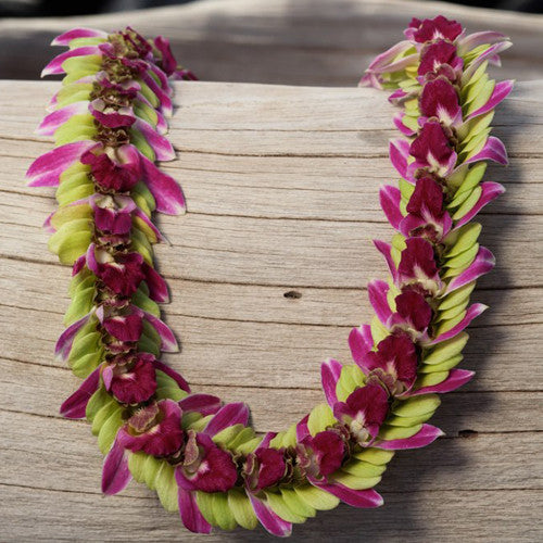 succulent lei 10-Lei-DELUXE-Combo