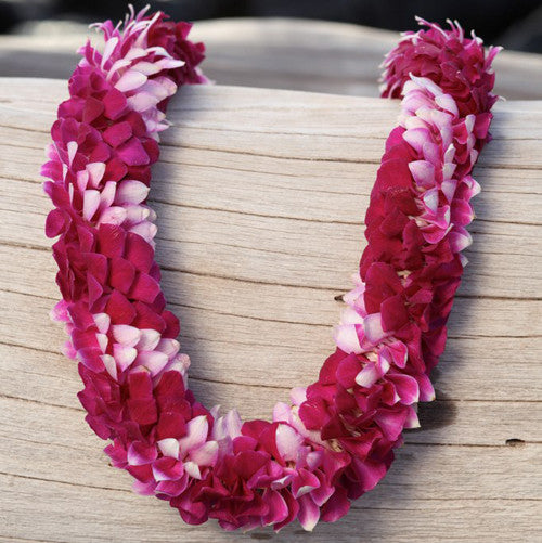 fusion spiral lei