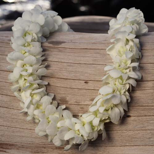 Double White Orchid Lei