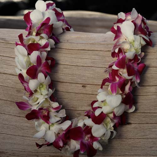 2-color double orchid lei