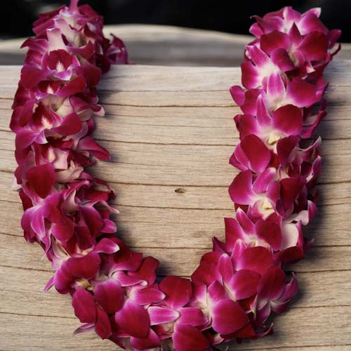 double purple orchid lei