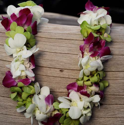 3-color double orchid lei
