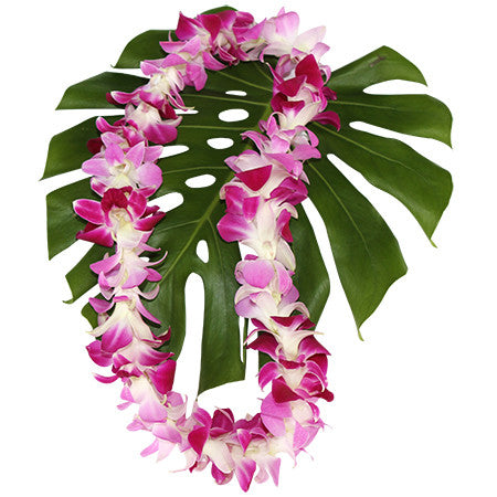 single pink and purple lei