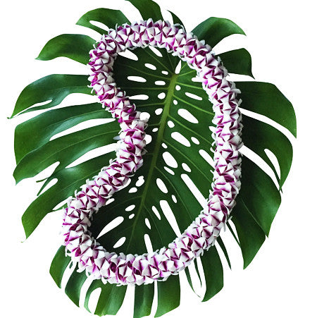 Orchid Lei, hawaiian lei, fresh lei