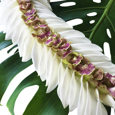 Hawaiian Lei