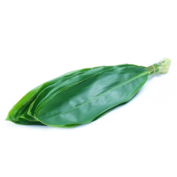 Ti Leaves Green (10 Pack)