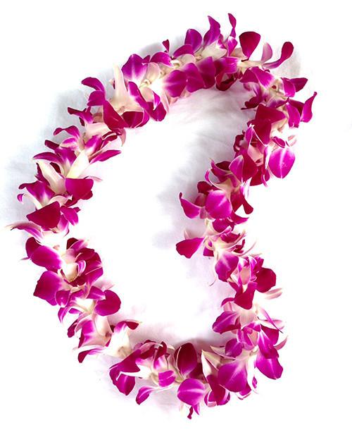 Purple Orchid Leis (10 Leis) | Hawaii Flower Delivery