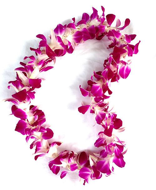 orchid leis bulk