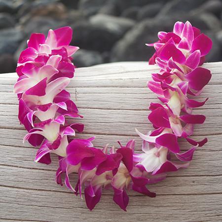 Purple Orchid Leis (100 Leis)