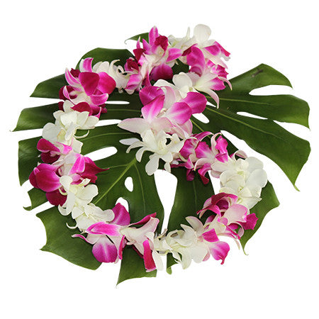 pink & white orchid lei, hawaiian leis, orchid leis, fresh leis