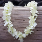 white orchid lei, hawaiian lei, leis