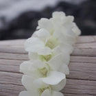 pink & white orchid lei, hawaiian leis, orchid leis, fresh leis