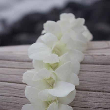 pink & white orchid lei, hawaiian leis, orchid leis, fresh leis