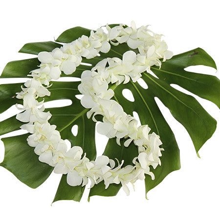 white orchid lei, hawaiian lei, leis