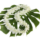 white Orchid Lei, pink & white orchid lei, hawaiian leis, orchid leis, fresh leis