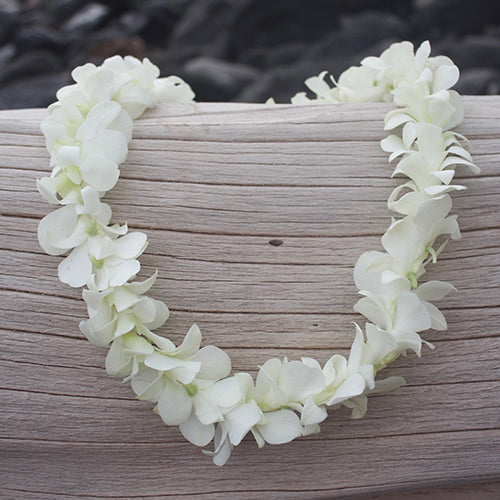 white orchid lei, orchid leis, hawaiian lei, fresh leis from hawaii