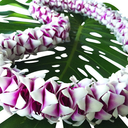 Hawaiian Orchid Lei